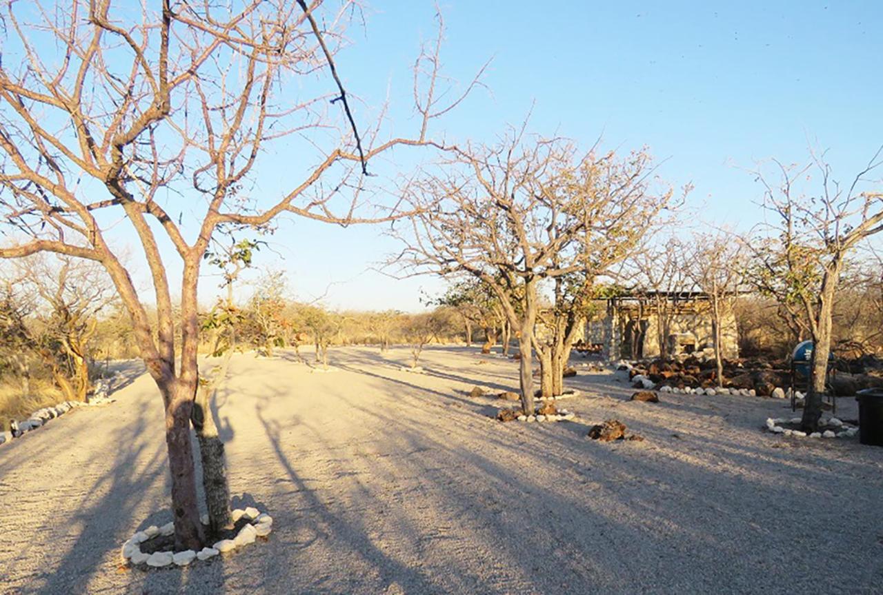 Etosha Village Campsite Okaukuejo Luaran gambar