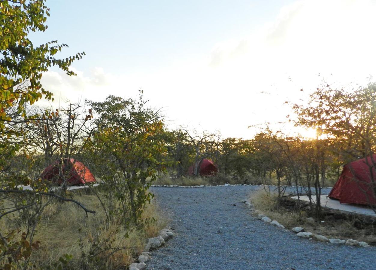 Etosha Village Campsite Okaukuejo Luaran gambar