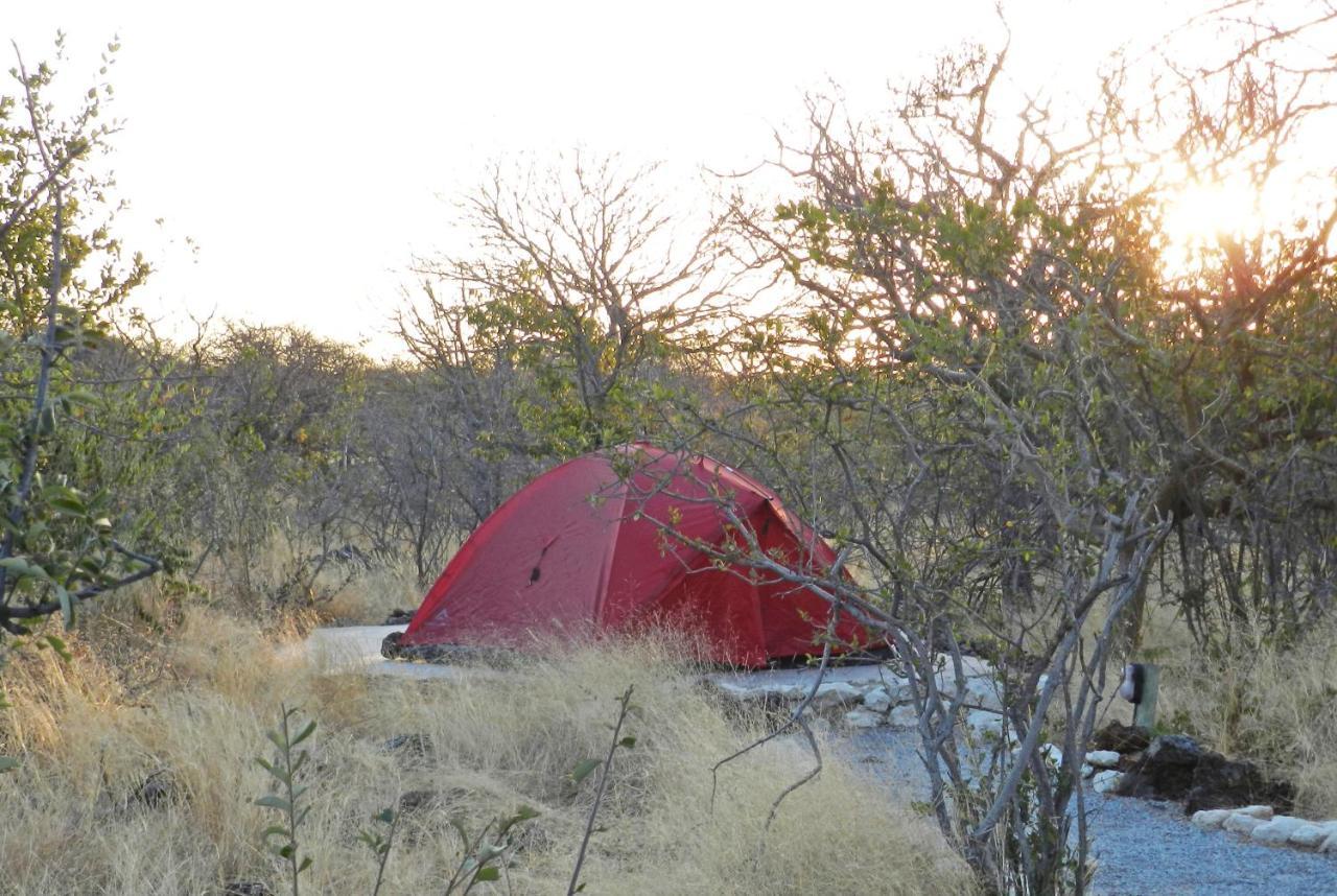 Etosha Village Campsite Okaukuejo Luaran gambar