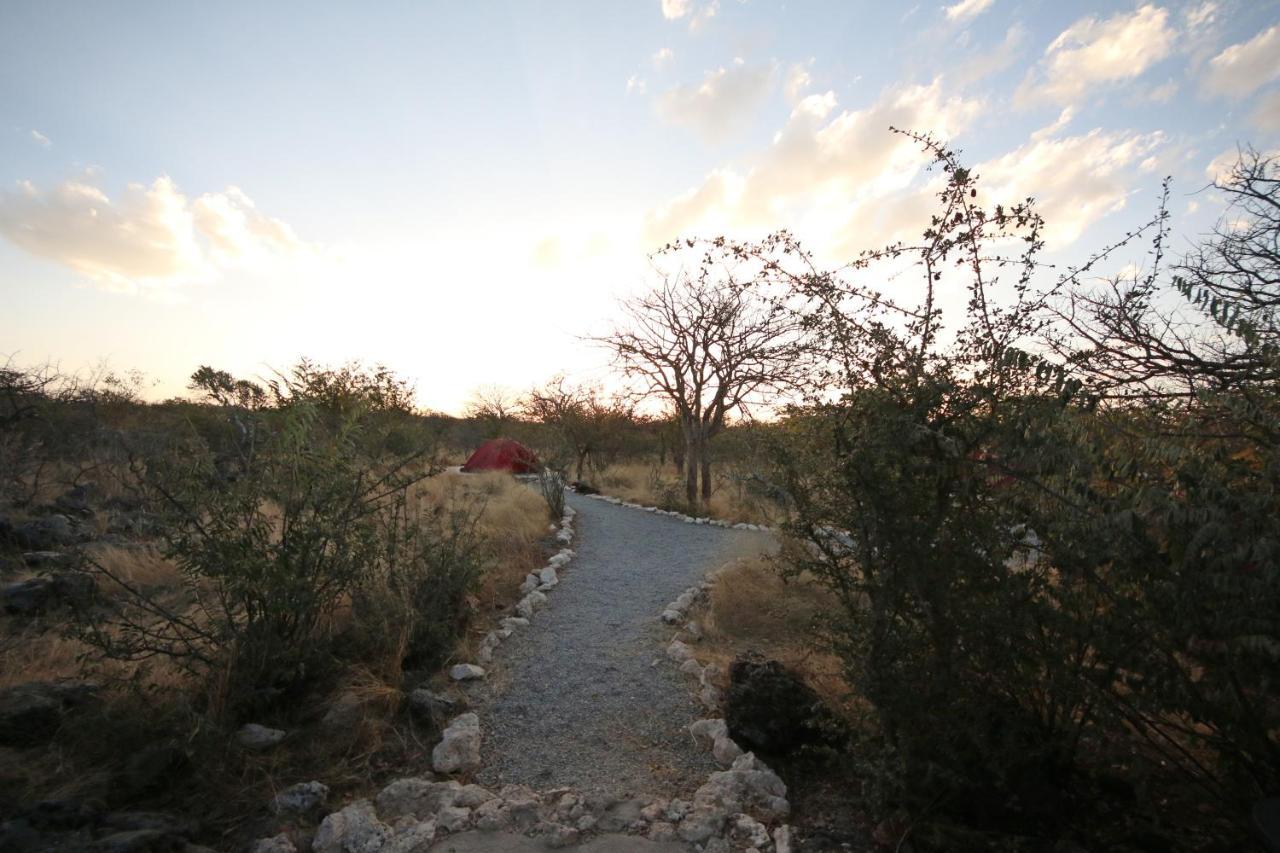 Etosha Village Campsite Okaukuejo Luaran gambar