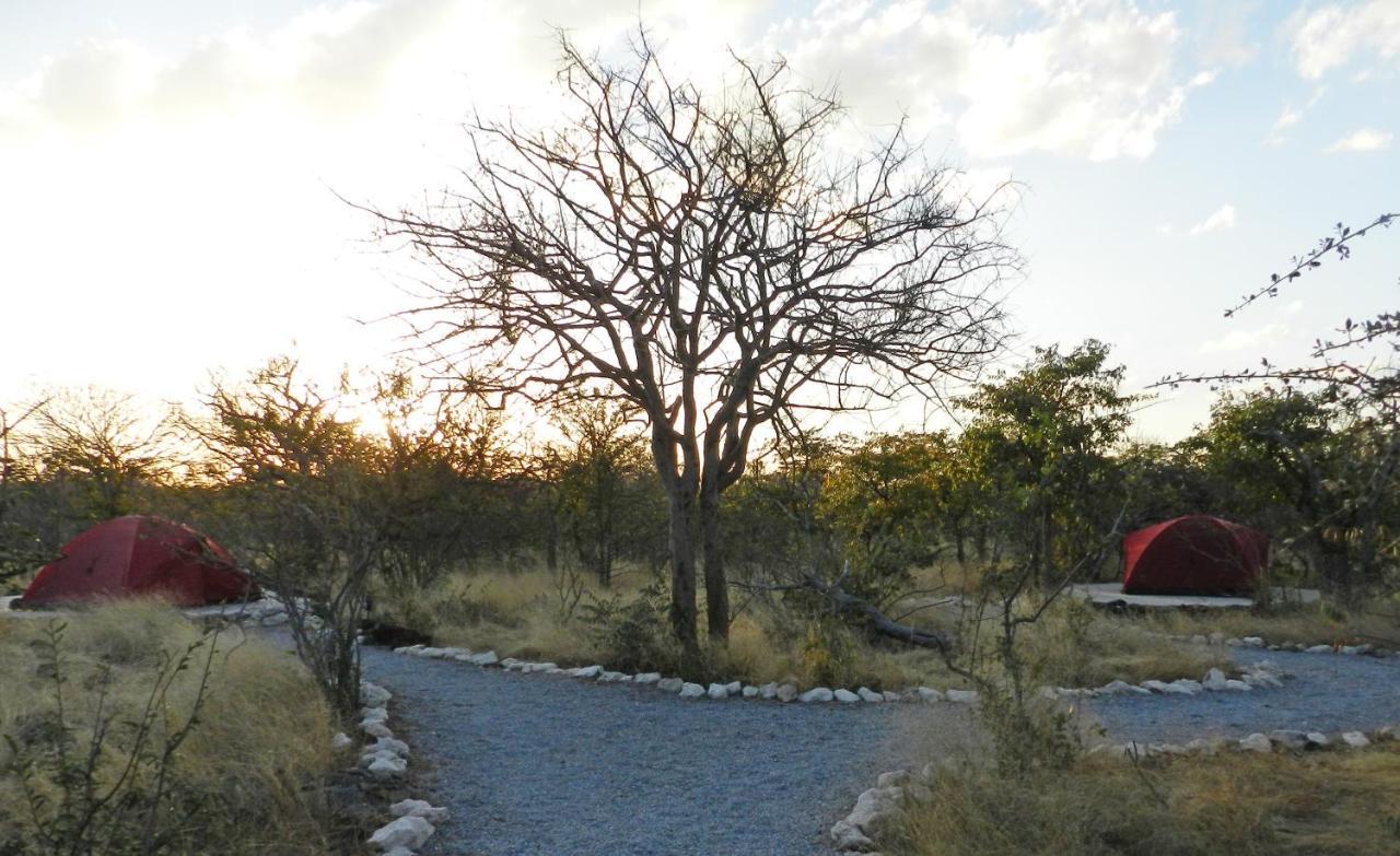 Etosha Village Campsite Okaukuejo Luaran gambar